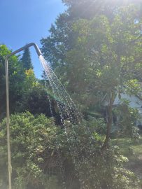 Afbeelding van WhatsApp op 2025-06-21 om 13.19.16_48bce2ca